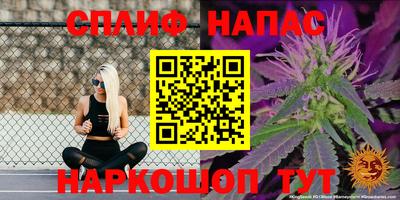 винт Камень-на-Оби